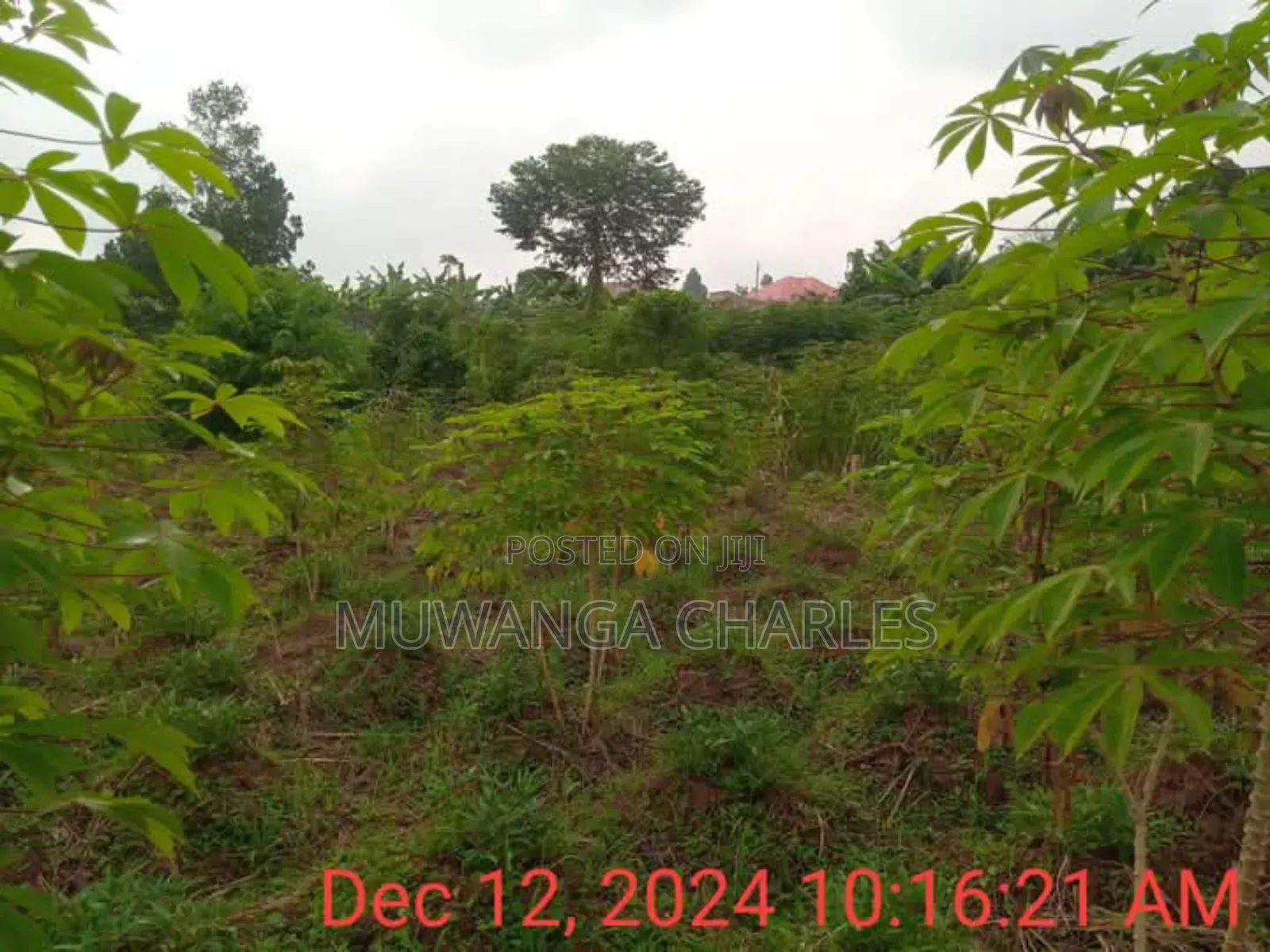 Plot for Sale in Namugongo