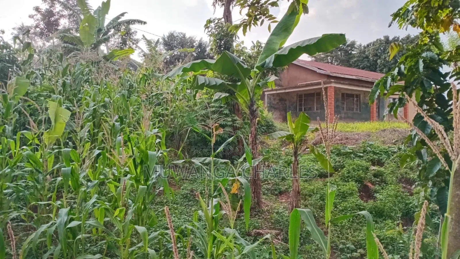 Plot for Sale in Kanyanya