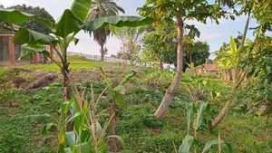 Plot for Sale in Kanyanya