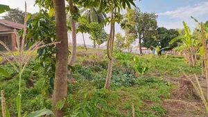 Plot for Sale in Kanyanya
