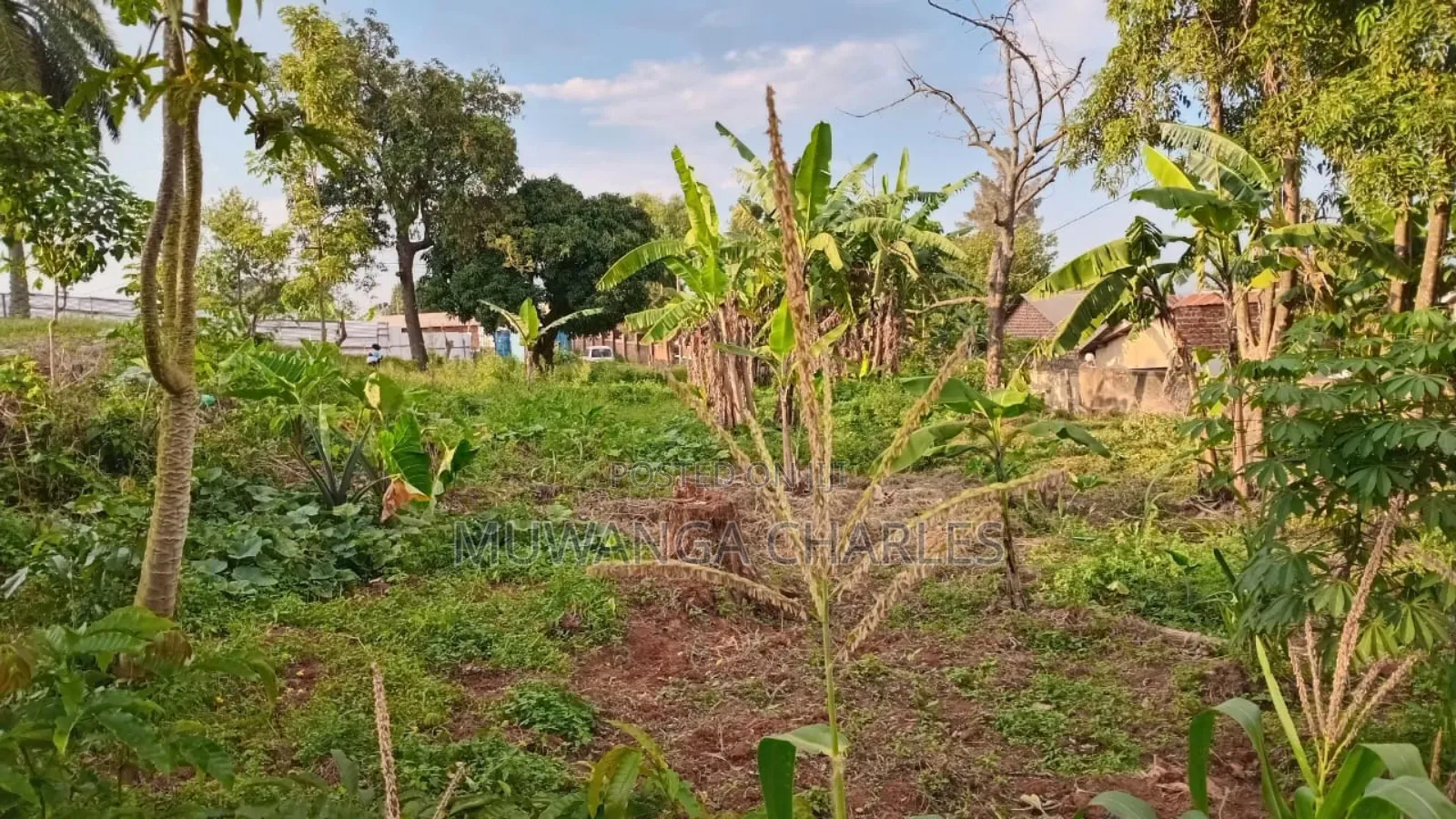 Plot for Sale in Kanyanya