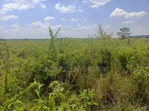 150acres of Land for Sale, Kikyusa Luwero