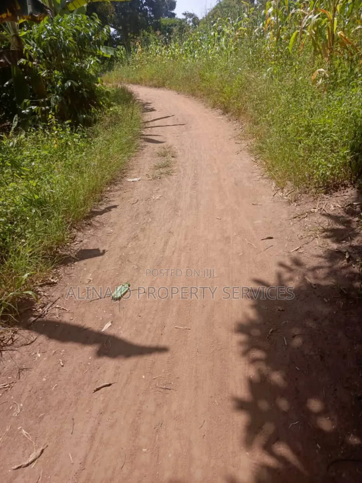 150acres of Land for Sale, Kikyusa Luwero