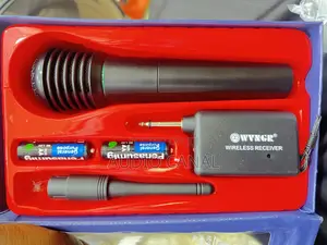 WG Professional Wireless Microphone