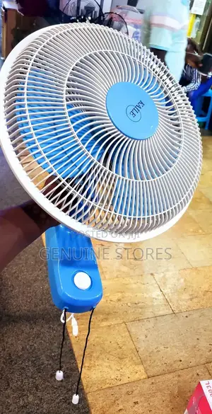 Kaile Wall Fan