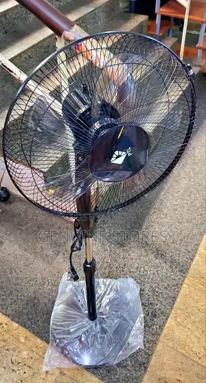 PTL Stand Fan