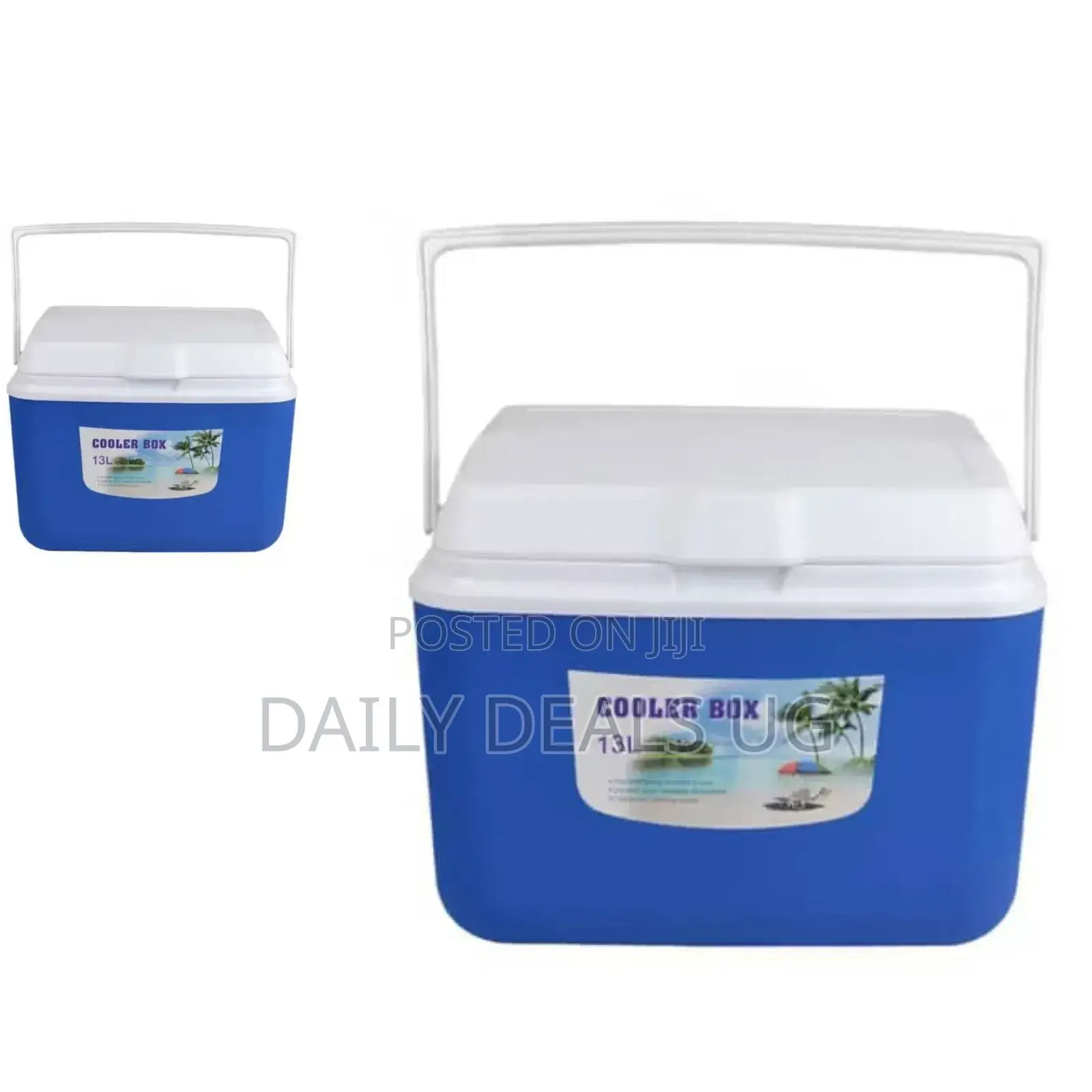 13 L Ice Cooler Box