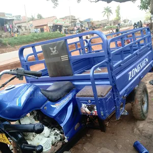 Tricycle 2023 Blue