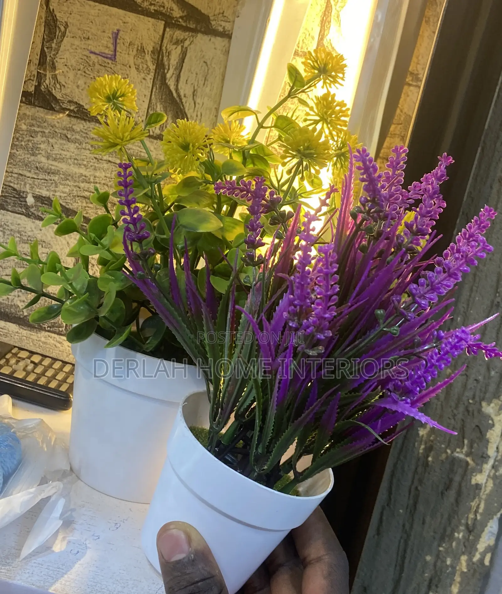 Small Plants in Purple