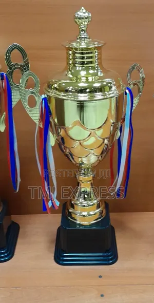 Gold and Silver Football, Netball, Basketball Tropies