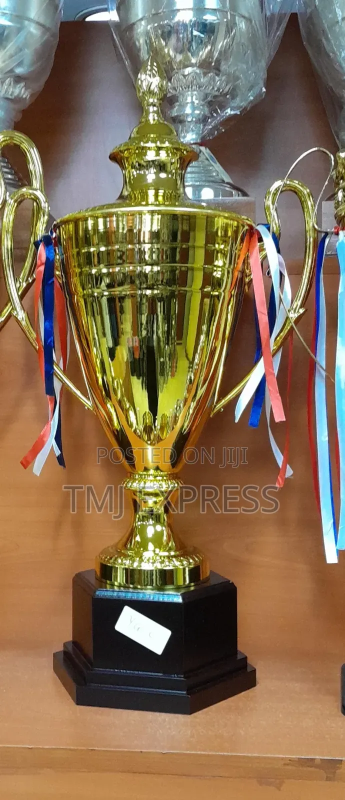 Gold and Silver Football, Netball, Basketball Tropies
