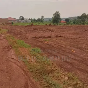 Commercial Plot on Sale!! Ssonde Bukerere 50M 50x100ft