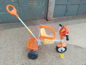 Mimi Kids Tricycle