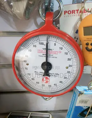 Hanson 100kg Hanging Weighing Scale