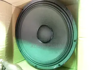 GEDUN 15” Speaker Woofer