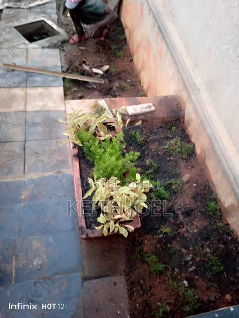 Paving and Compound Design