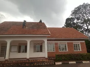 Roof Cleaning Services for Brighter Homes/Shine On.