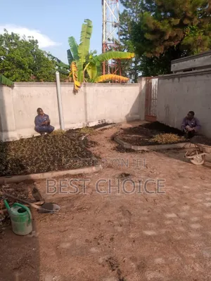 All Grass Types/Grass Planting/Compound Designing
