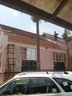Roof Cleaning/Transforming Your Homes Exterior