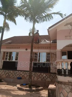 Roof Cleaning/Transforming Your Homes Exterior