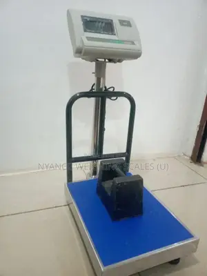 300kg Stainless Steel Accurate A12 Platform Scale