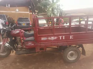 Tricycle 2024 Red