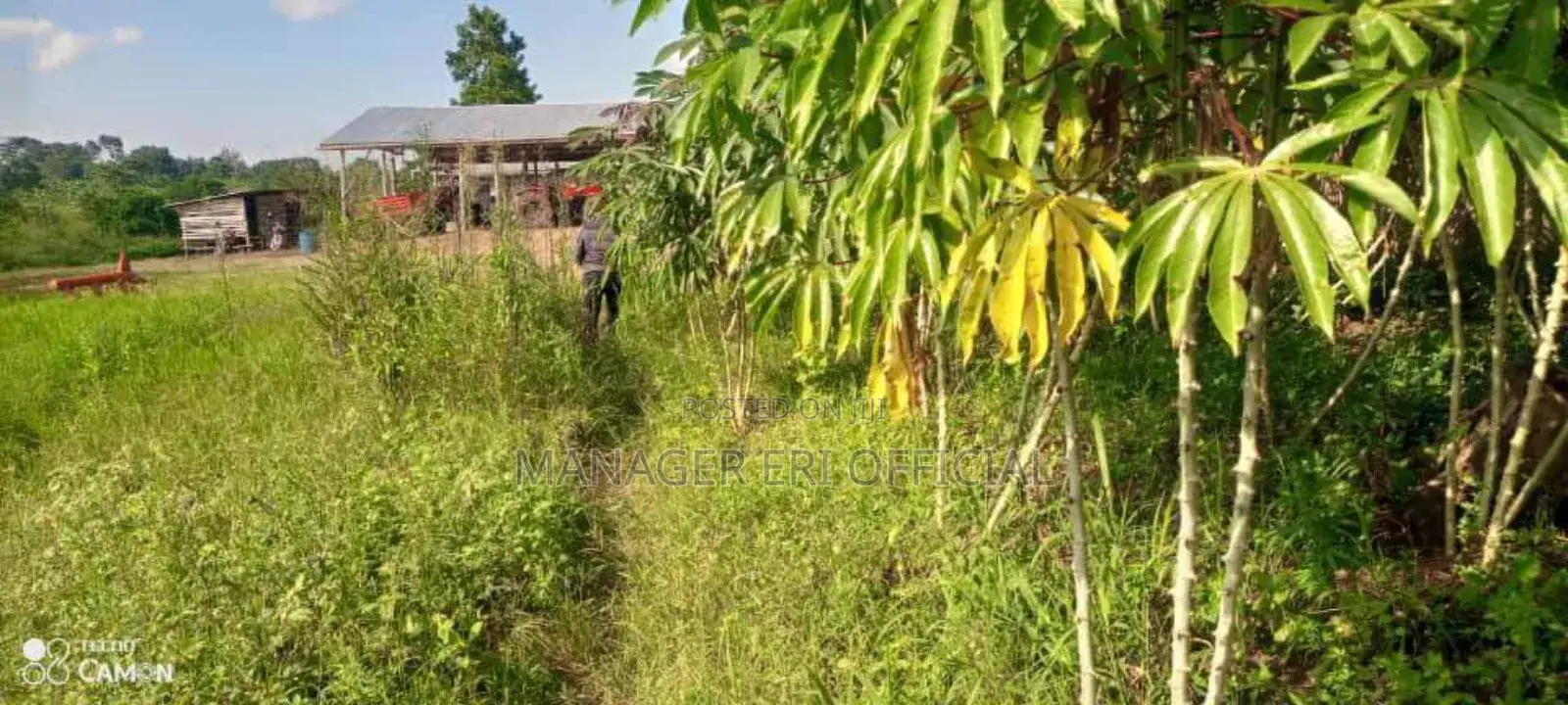 Plot for Sale
