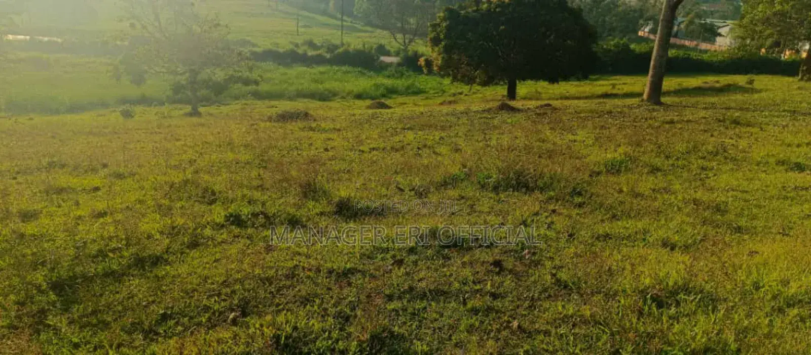 Plot for Sale
