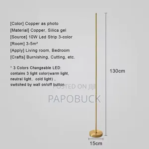 Modern Floor Stand Light