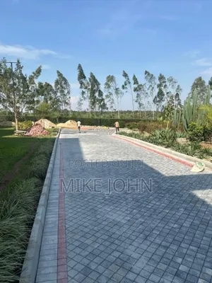Landscaping And Compound Designing