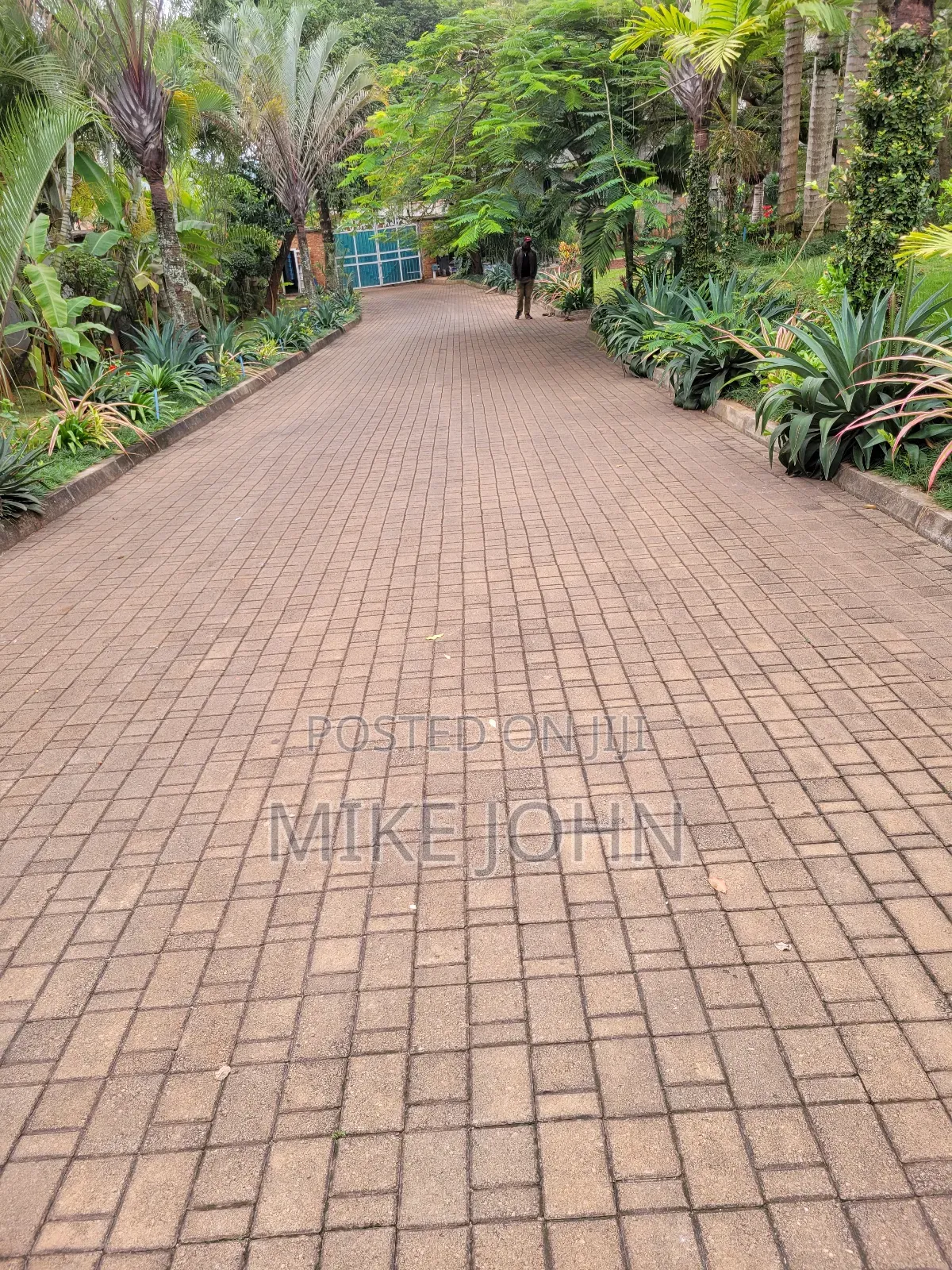 Landscaping And Compound Designing