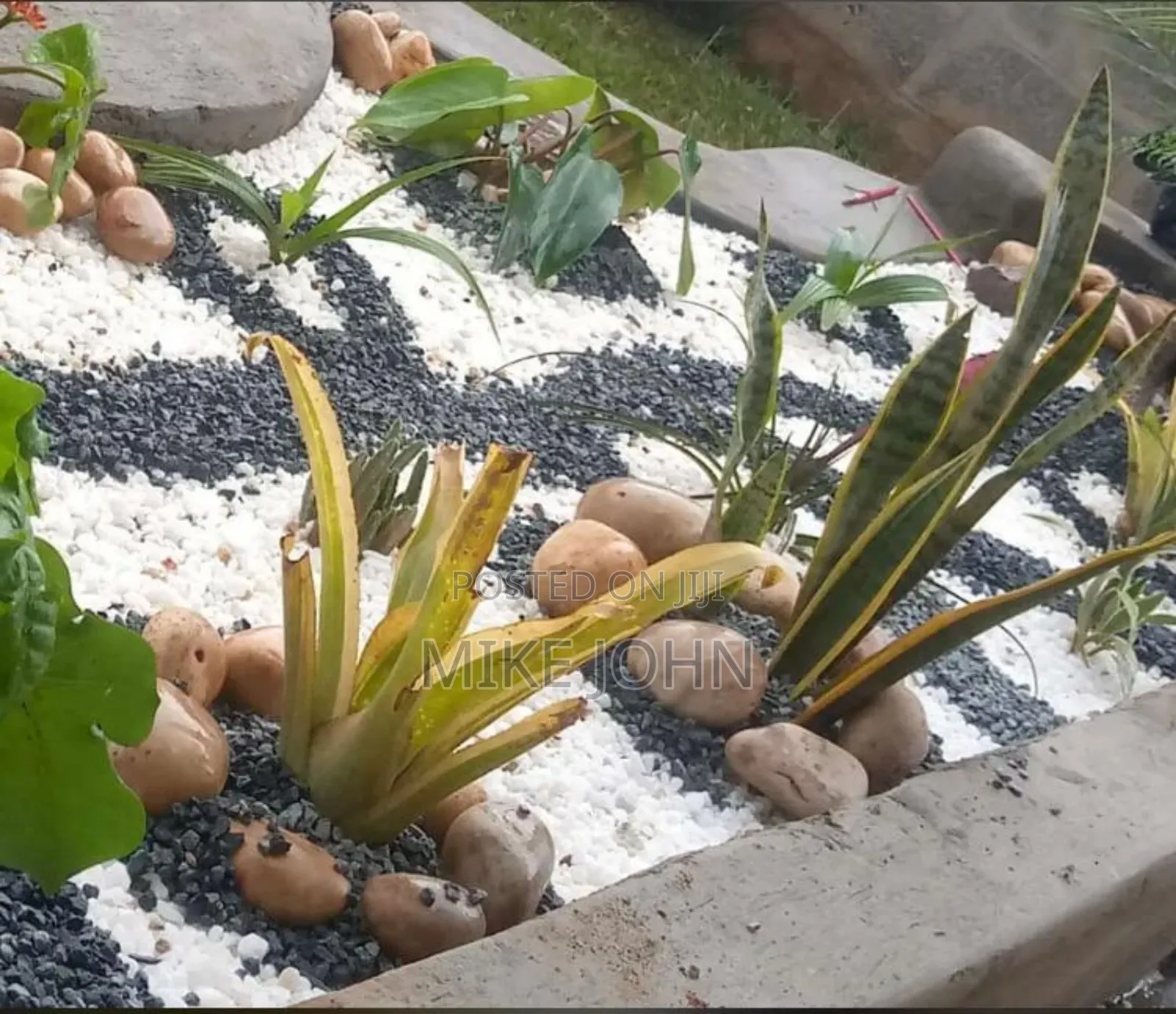 Landscaping And Compound Designing
