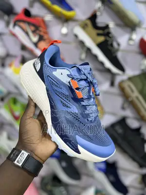 Photo - Classic Men's North Face Altamesa 500 Sneakers in Stock