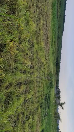 10 Acres of Land on Masaka Road After Sangi