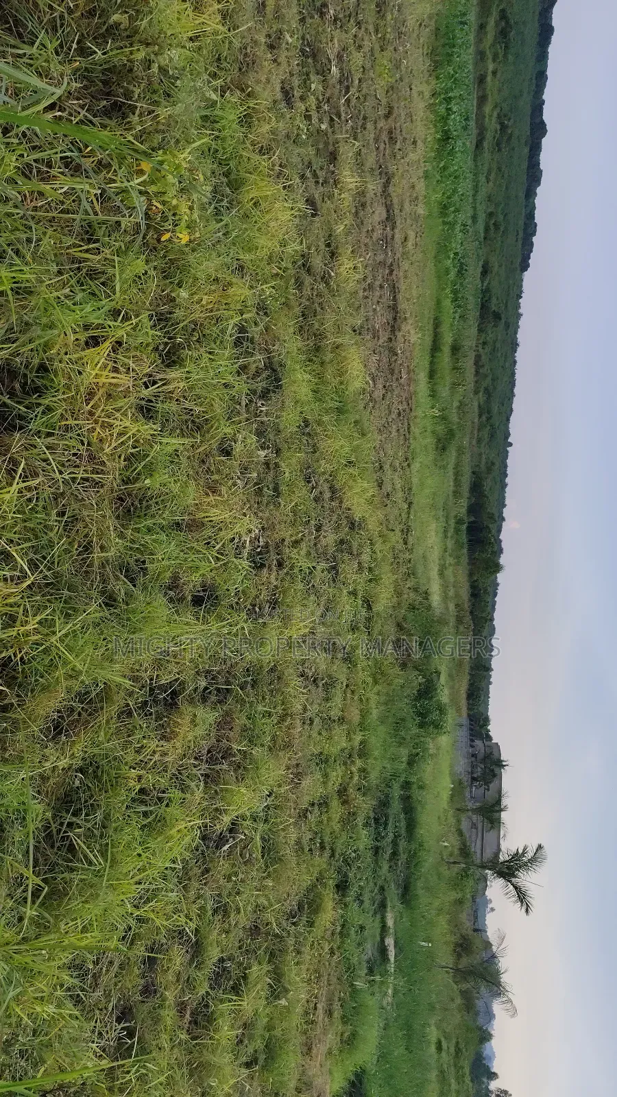 10 Acres of Land on Masaka Road After Sangi