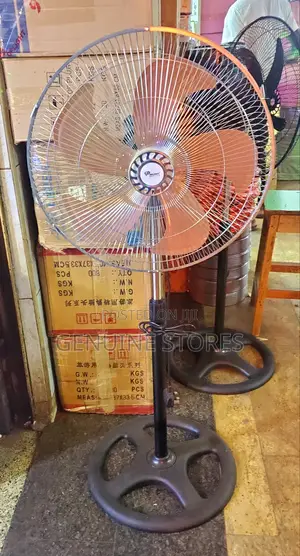 Dp Stand Fan / Metallic