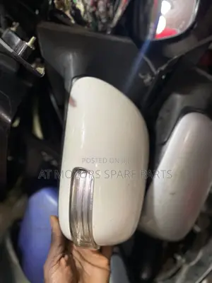 Premio 2008 Side Mirror