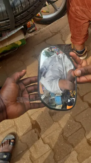 Side Mirror Plate for Raum Old Model