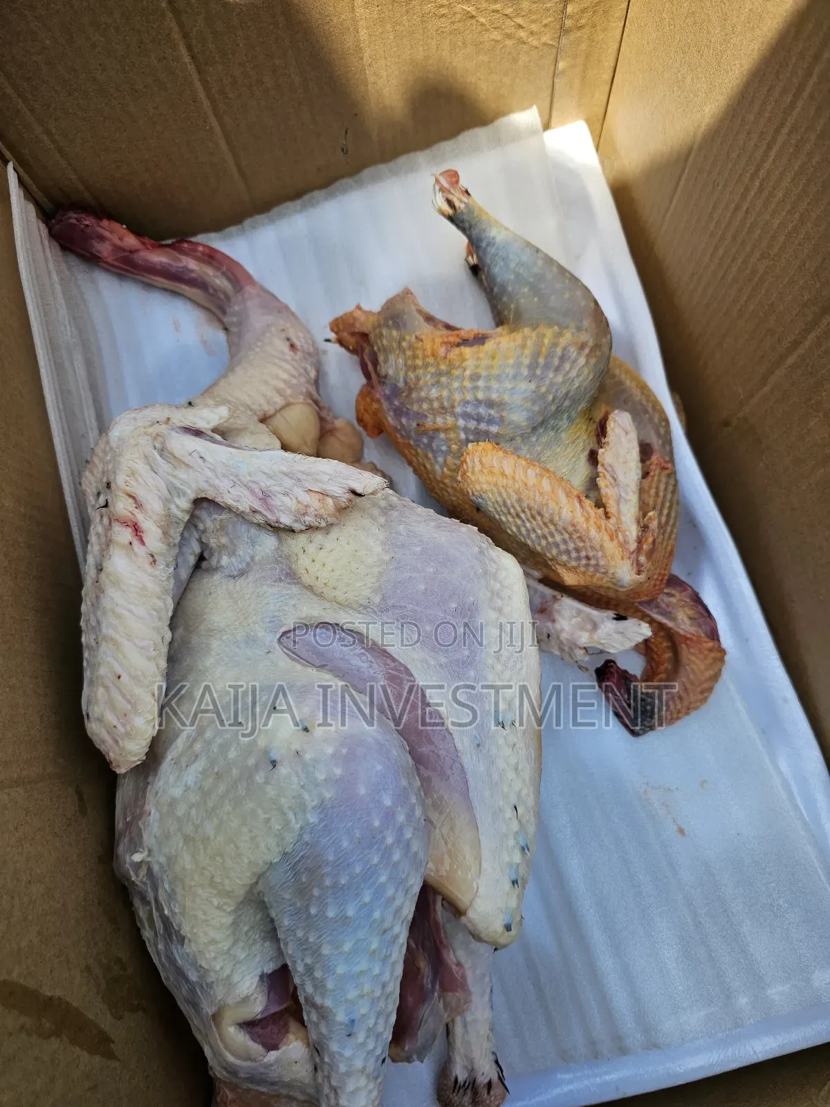 Turkey Guinea Fowl Combo
