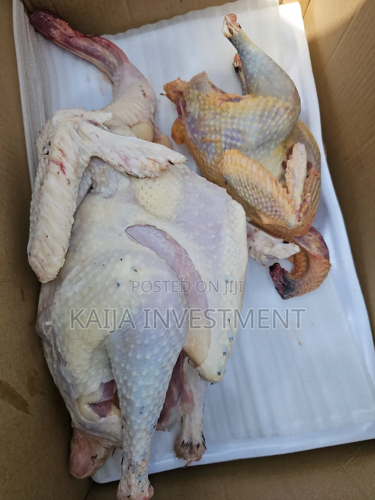 Turkey Guinea Fowl Combo