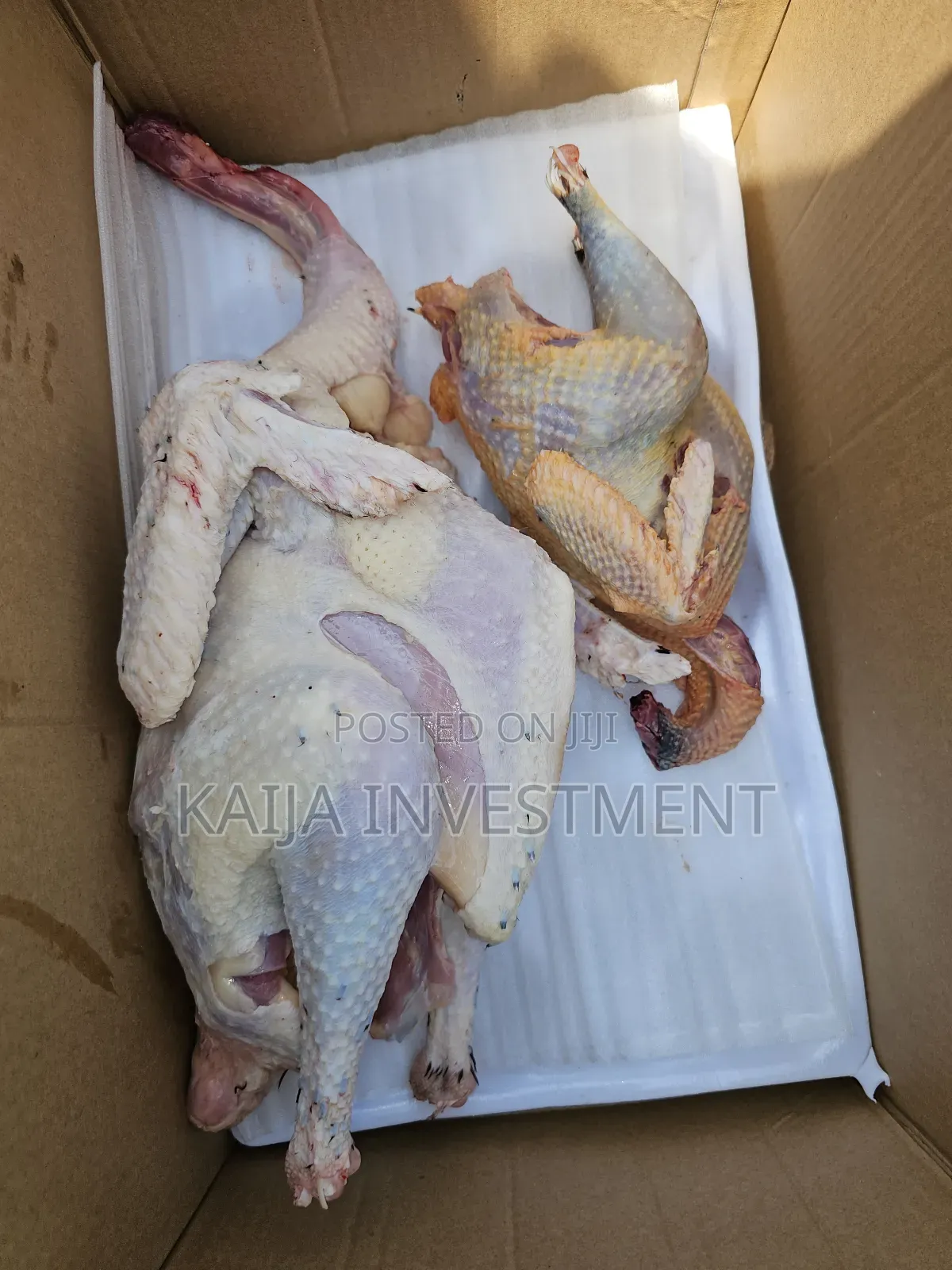 Turkey Guinea Fowl Combo