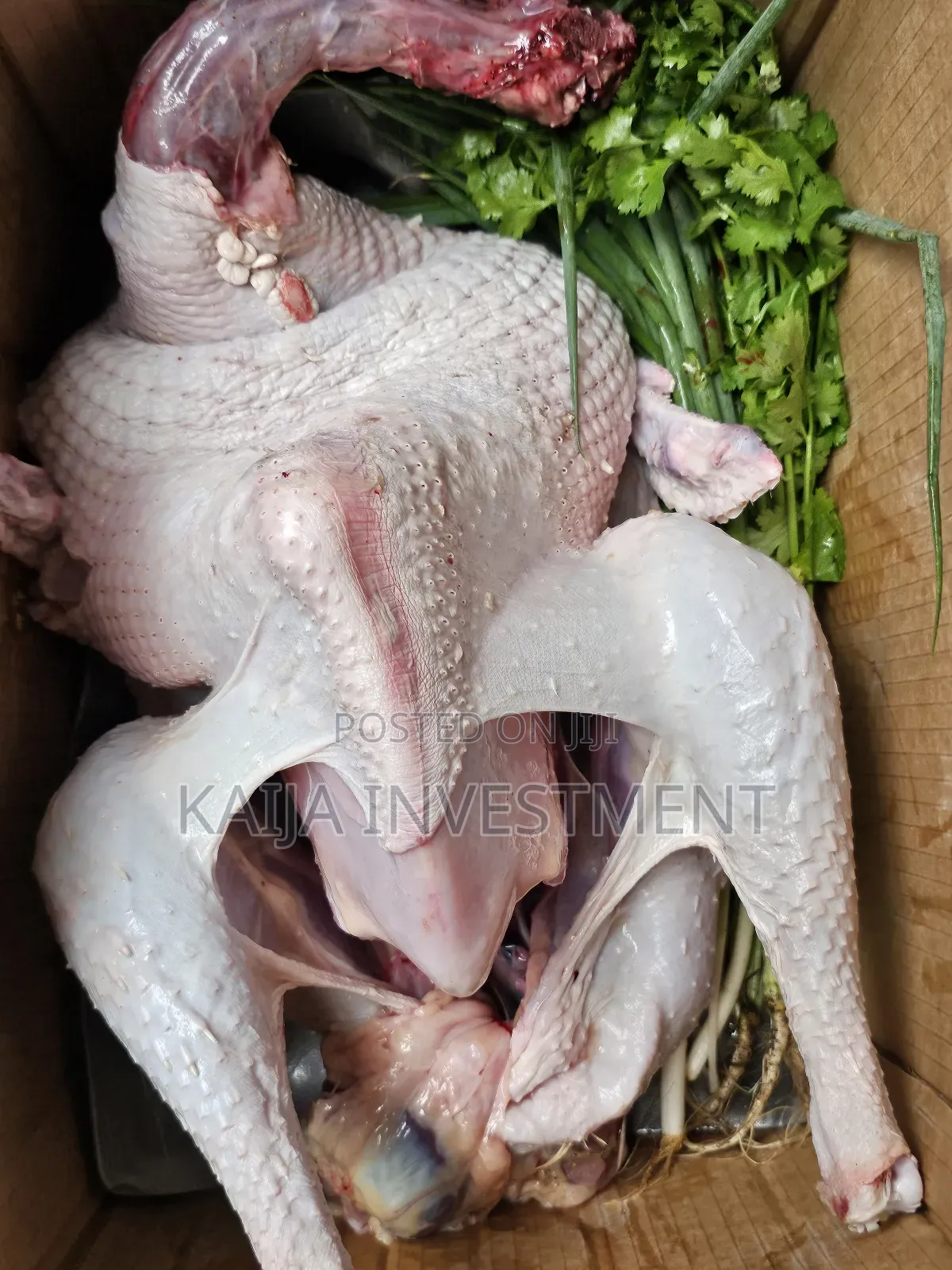 Turkey Guinea Fowl Combo