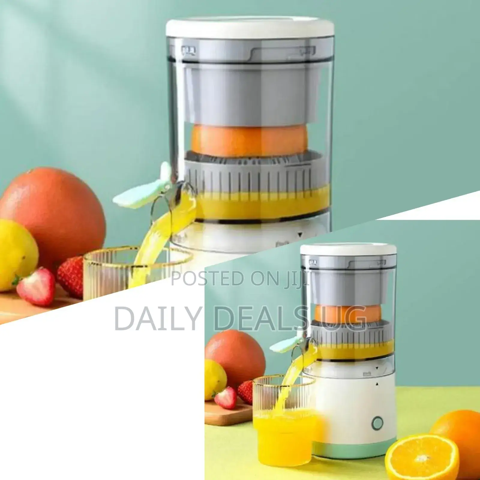 Portable Juice Press
