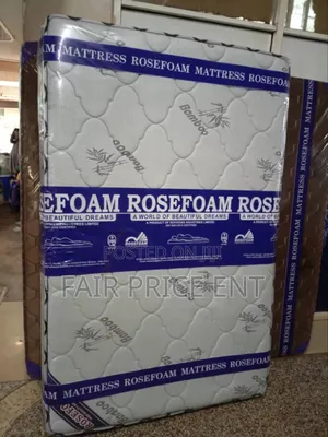 Noble Double Layer Spring Mattress.4x6x10