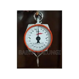 Original Design Hanging Weighing Scale