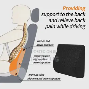 Orthopedic Memory Foam Lumbar Support For Posture