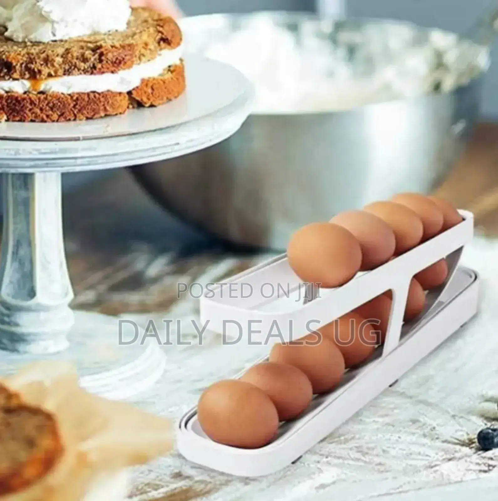 Double Egg Tray