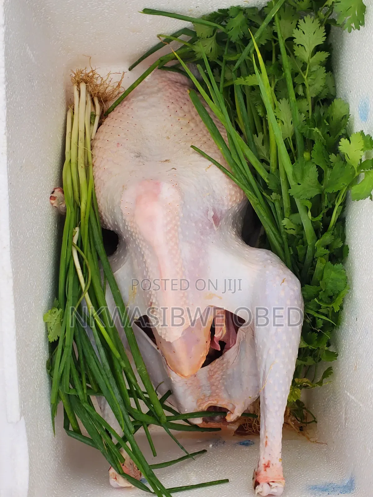 Dressed Turkey