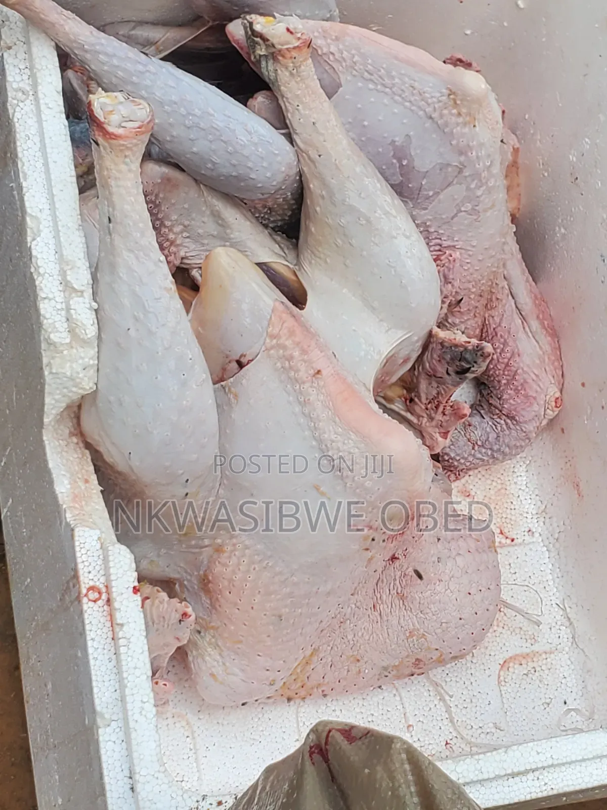 Dressed Turkey