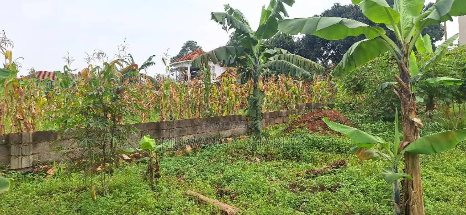 Plot for Sale in Kyanja